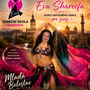Lekce: taneční lekce na ZKOUŠKU v TS Shareefa pro nováčky a nerozhodné