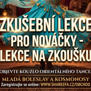 Lekce: zkušební lekce tance pro nováčky - lekce na zkoušku/ dle výběru níže